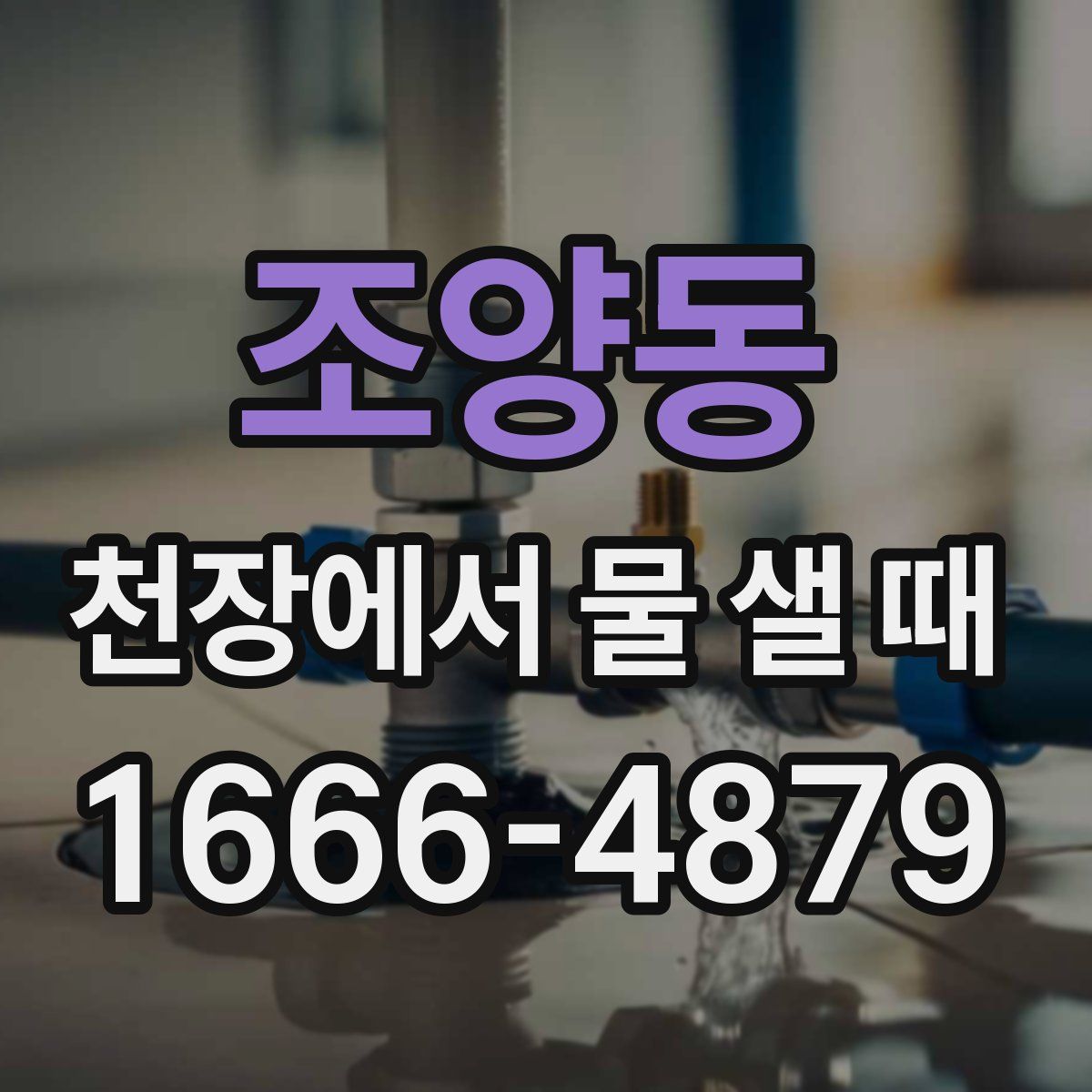 조양동 천장에서 물 샐 때