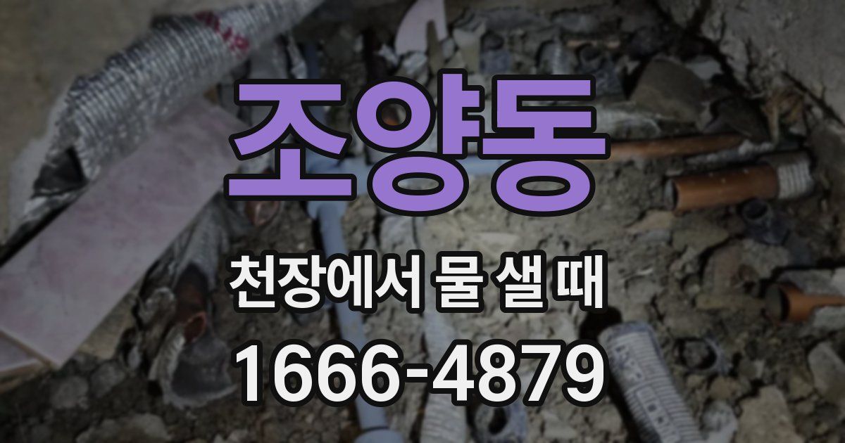 조양동 천장에서 물 샐 때
