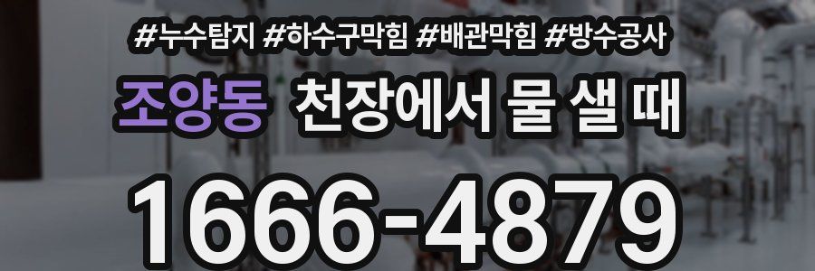 조양동 천장에서 물 샐 때