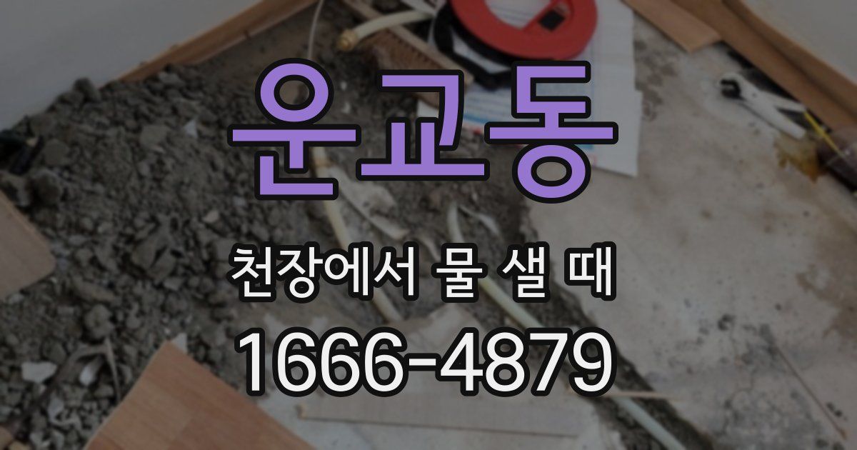 운교동 천장에서 물 샐 때