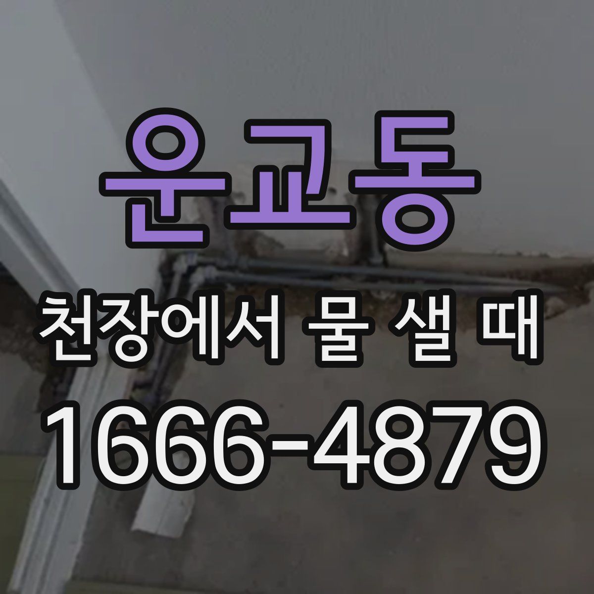 운교동 천장에서 물 샐 때