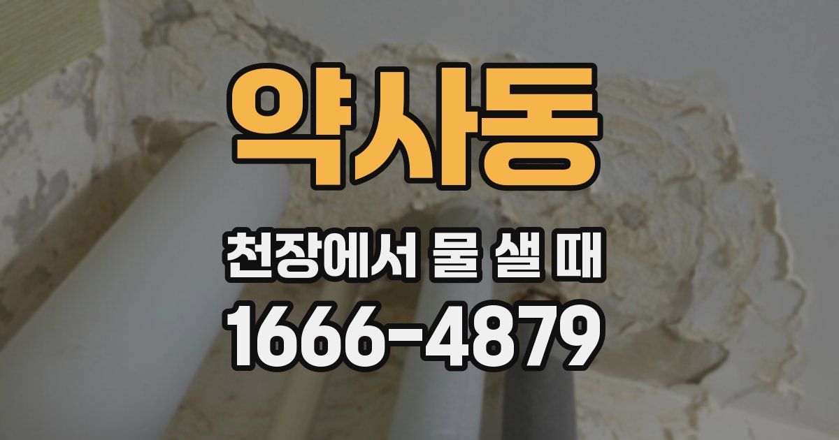약사동 천장에서 물 샐 때