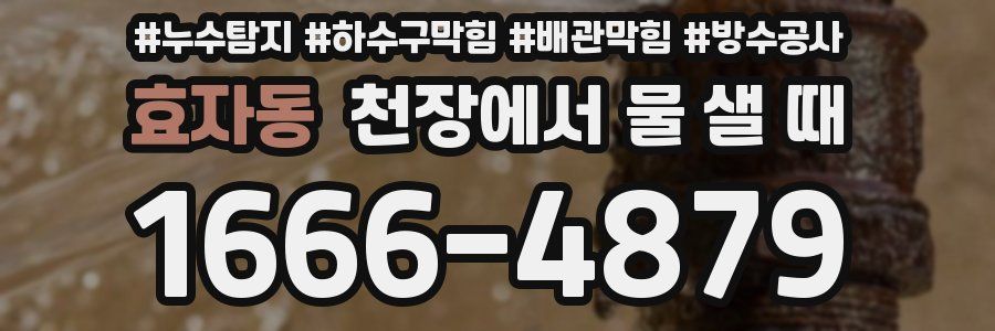 효자동 천장에서 물 샐 때
