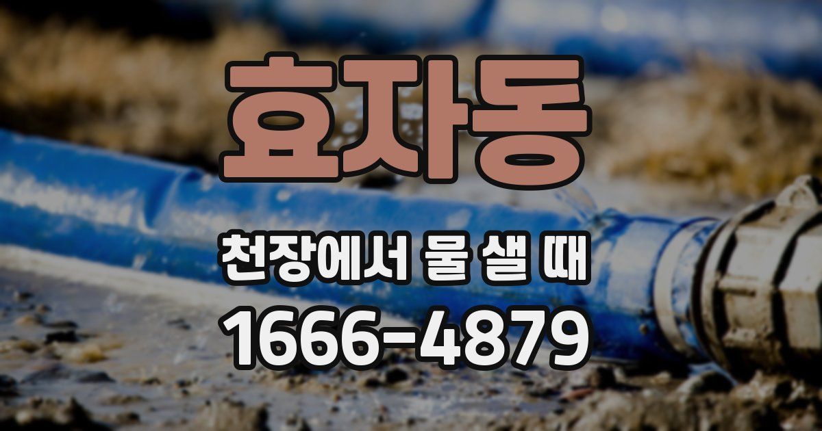 효자동 천장에서 물 샐 때