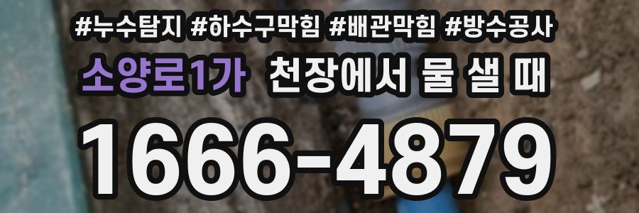 소양로1가 천장에서 물 샐 때