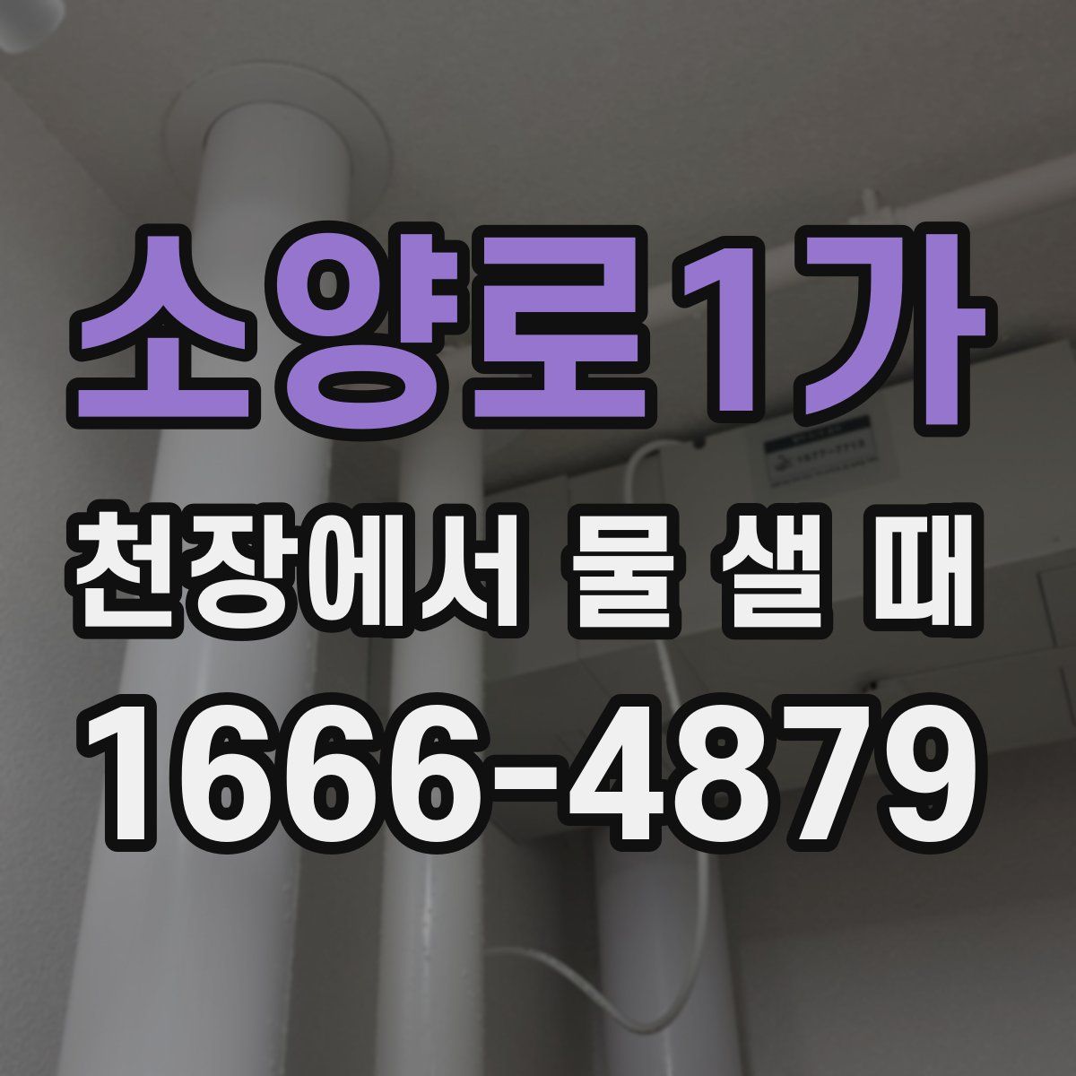 소양로1가 천장에서 물 샐 때