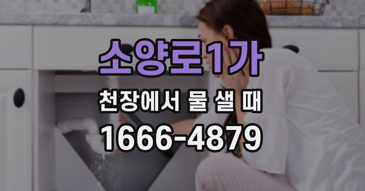 소양로1가 천장에서 물 샐 때