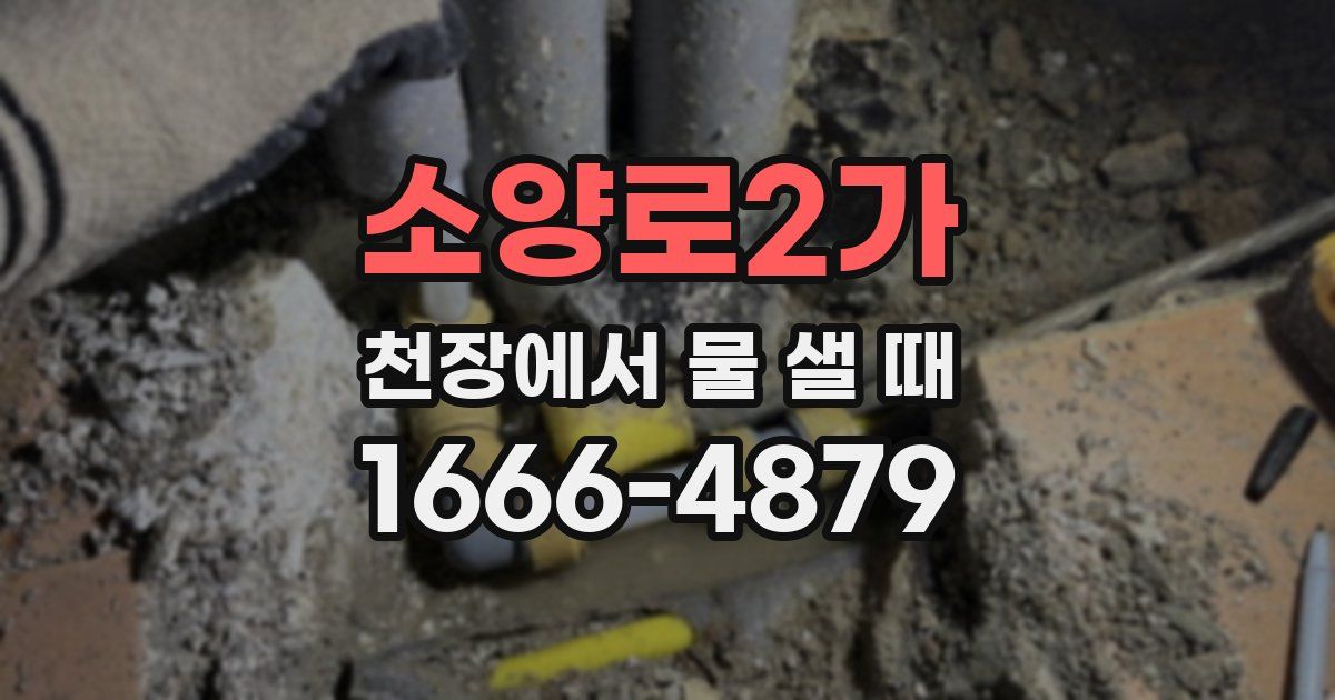 소양로2가 천장에서 물 샐 때