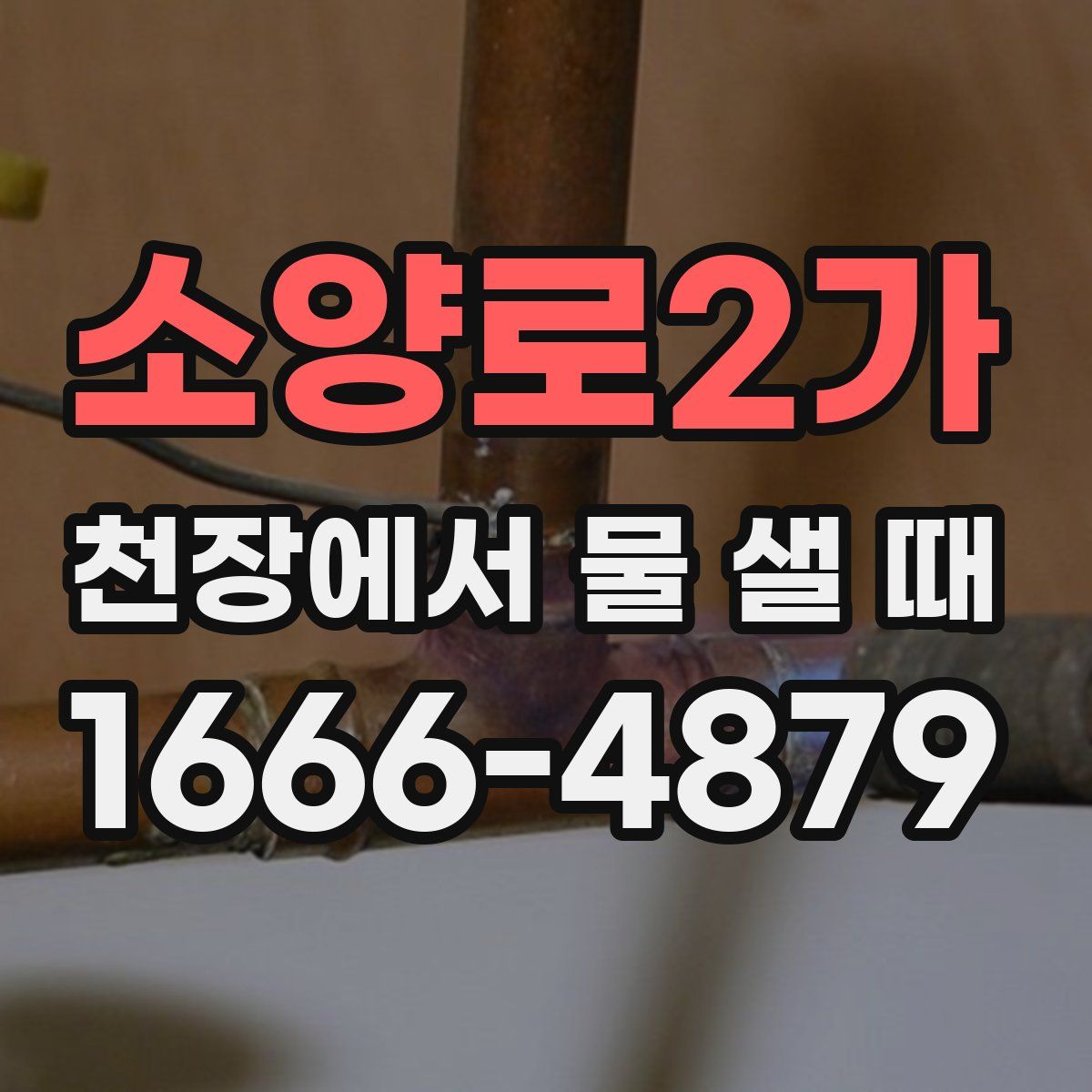 소양로2가 천장에서 물 샐 때