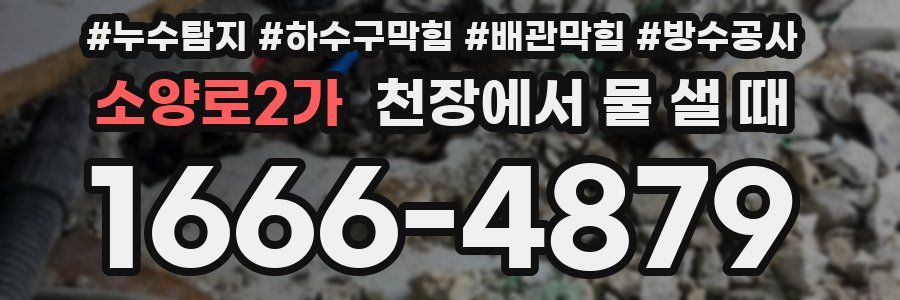 소양로2가 천장에서 물 샐 때