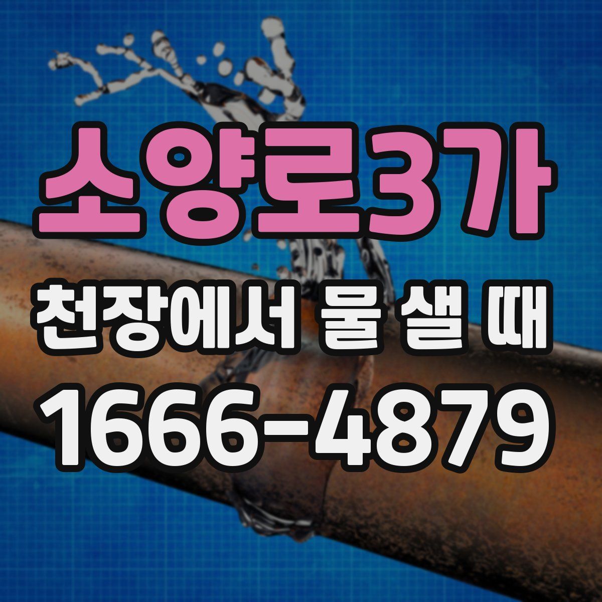 소양로3가 천장에서 물 샐 때