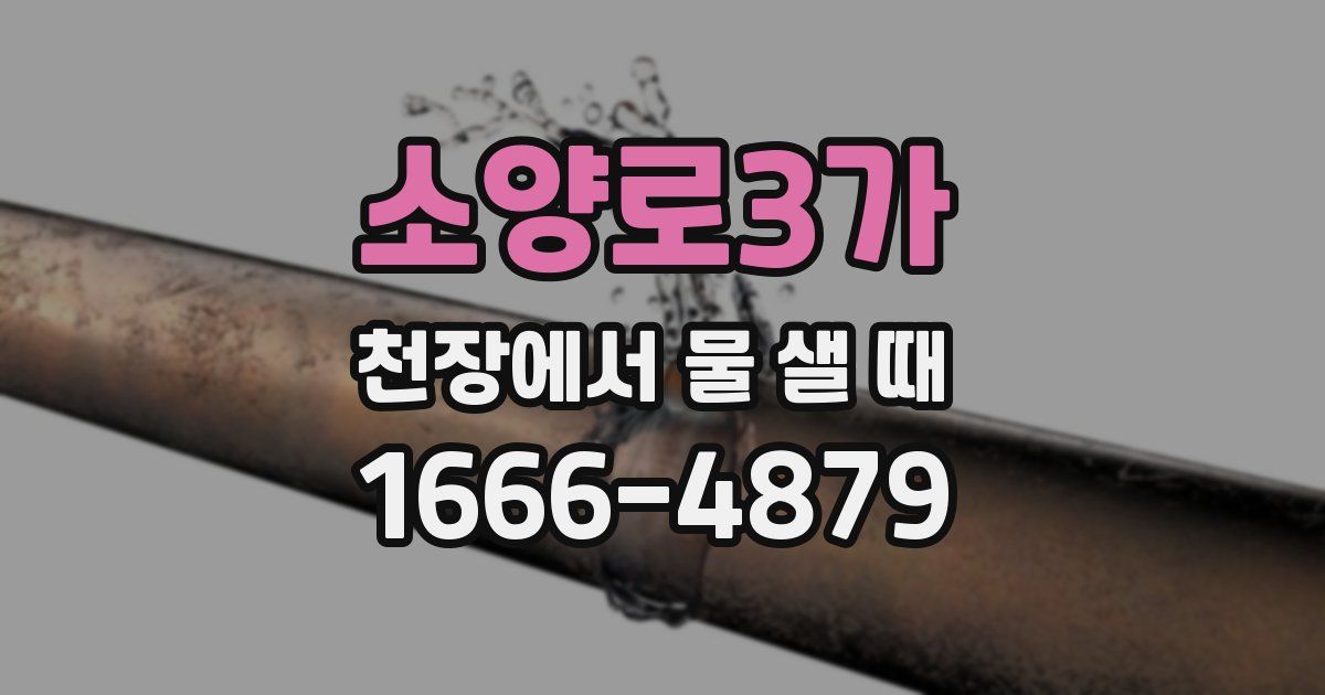 소양로3가 천장에서 물 샐 때