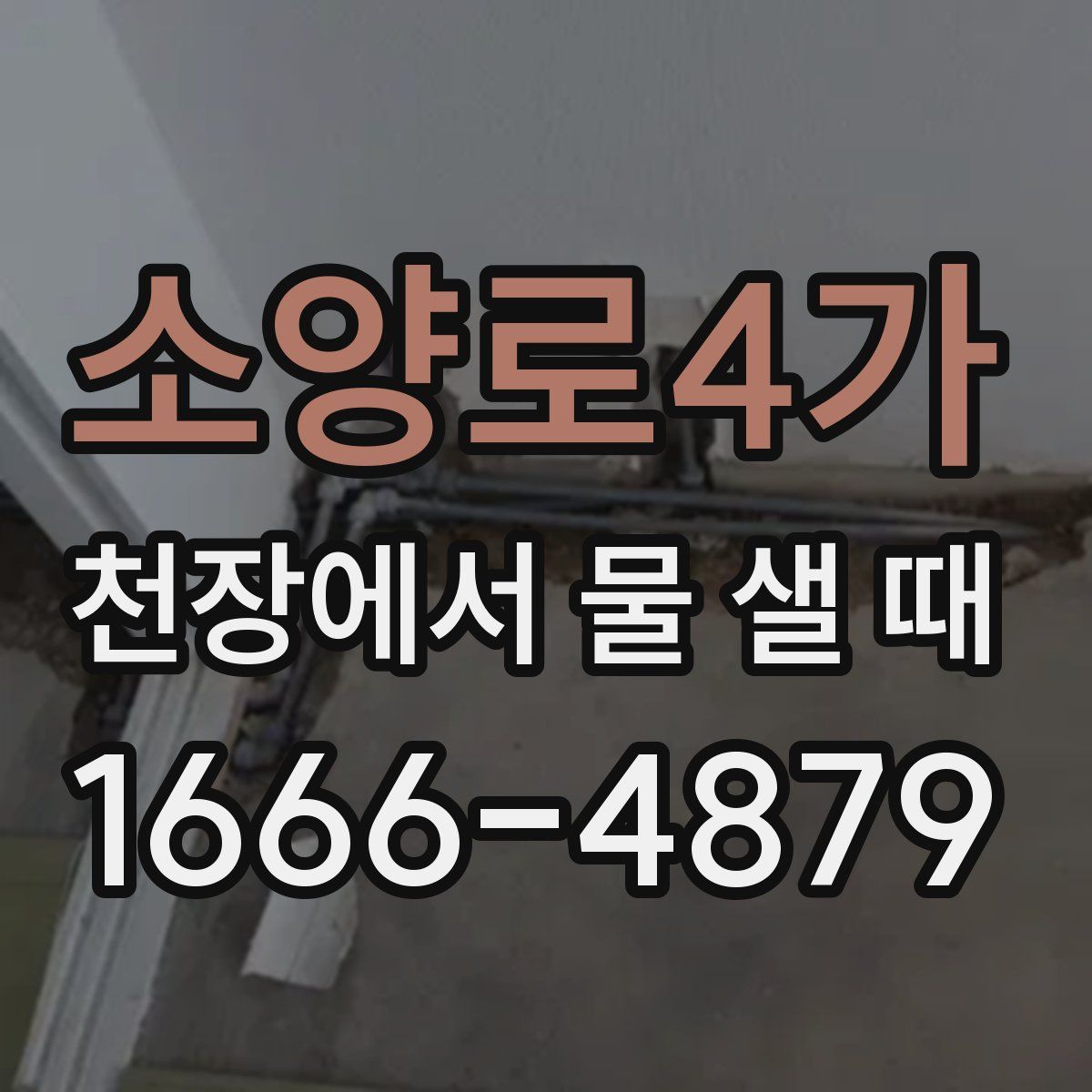 소양로4가 천장에서 물 샐 때