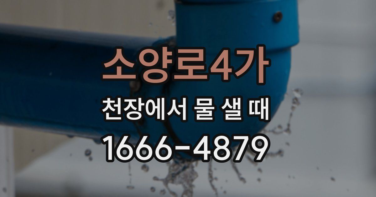 소양로4가 천장에서 물 샐 때