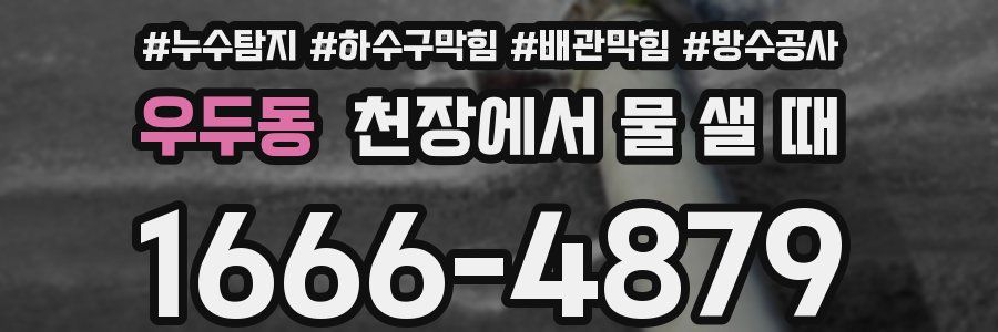 우두동 천장에서 물 샐 때