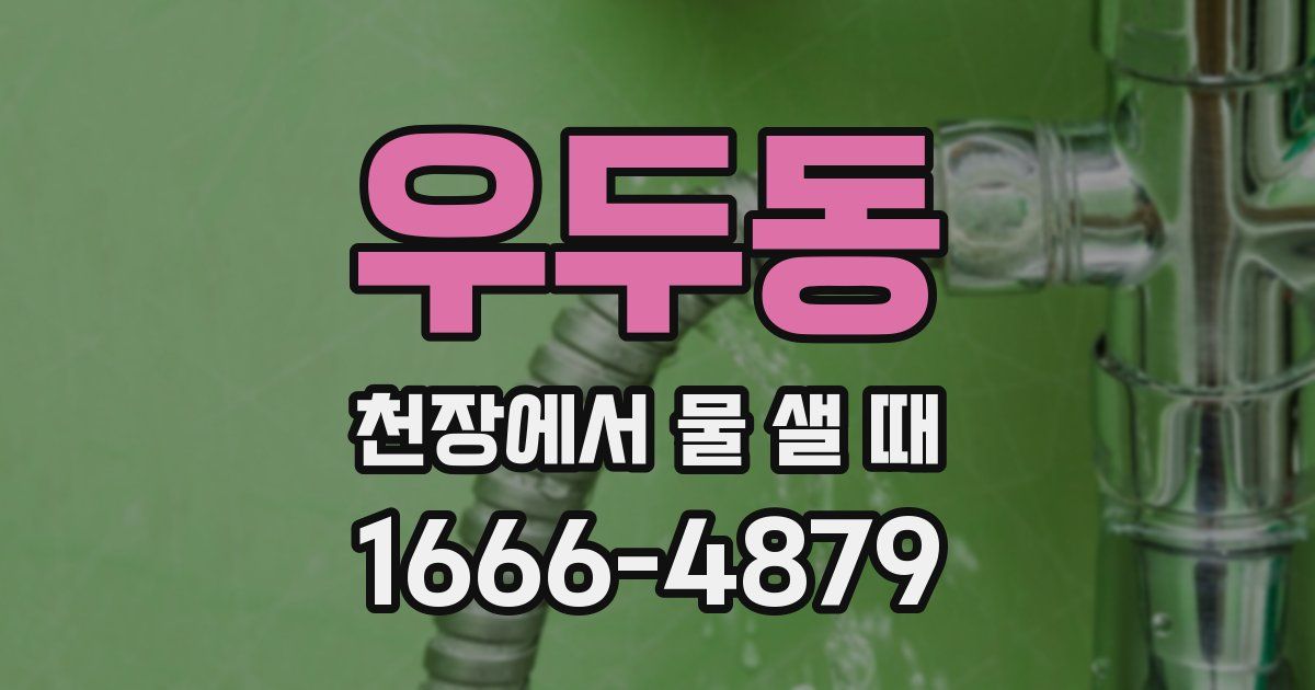 우두동 천장에서 물 샐 때