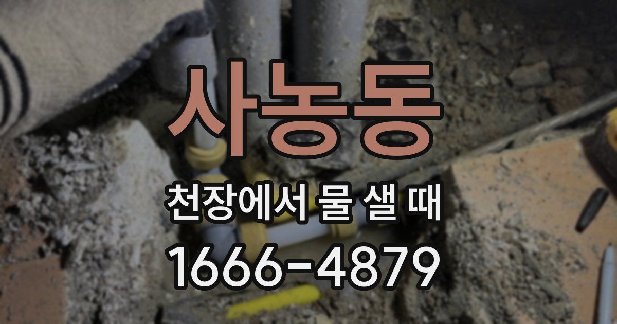 사농동 천장에서 물 샐 때