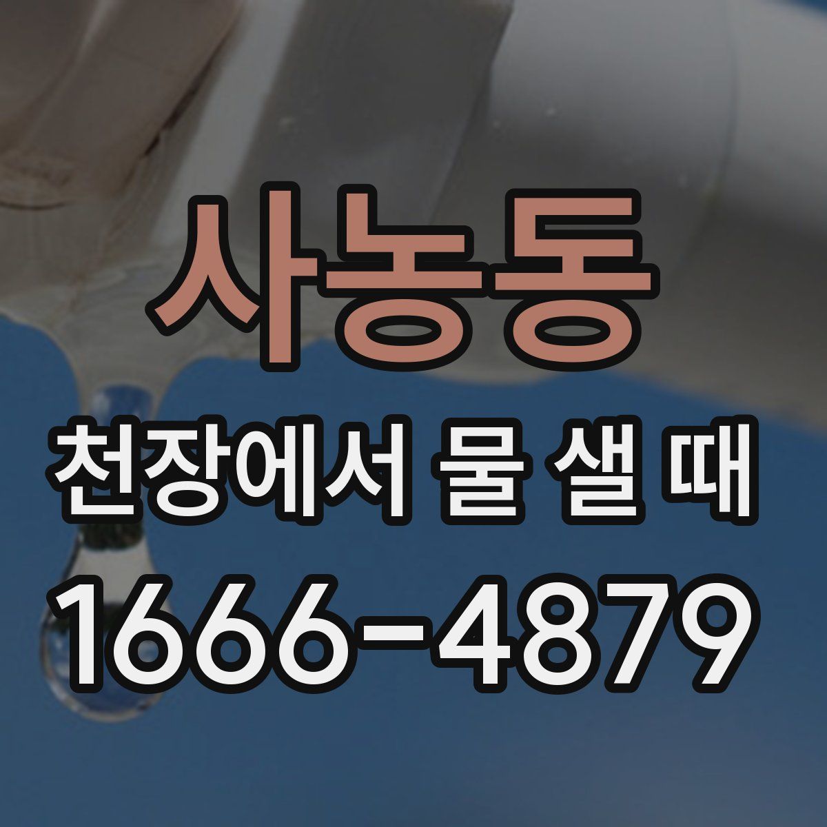 사농동 천장에서 물 샐 때