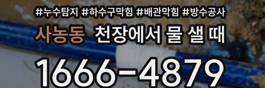 사농동 천장에서 물 샐 때