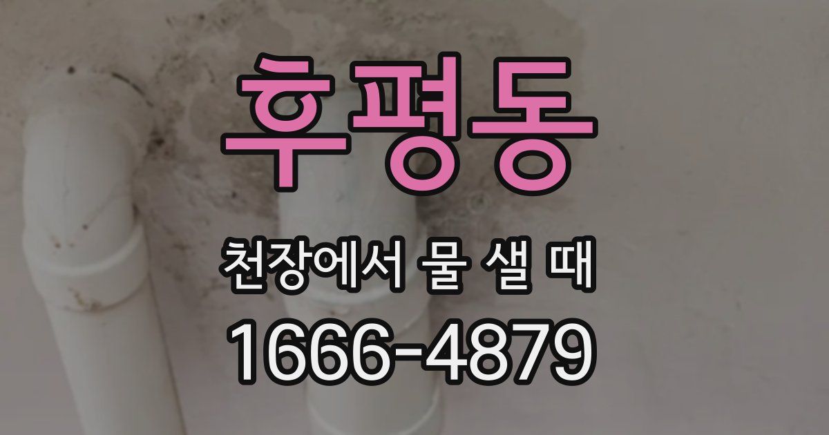 후평동 천장에서 물 샐 때