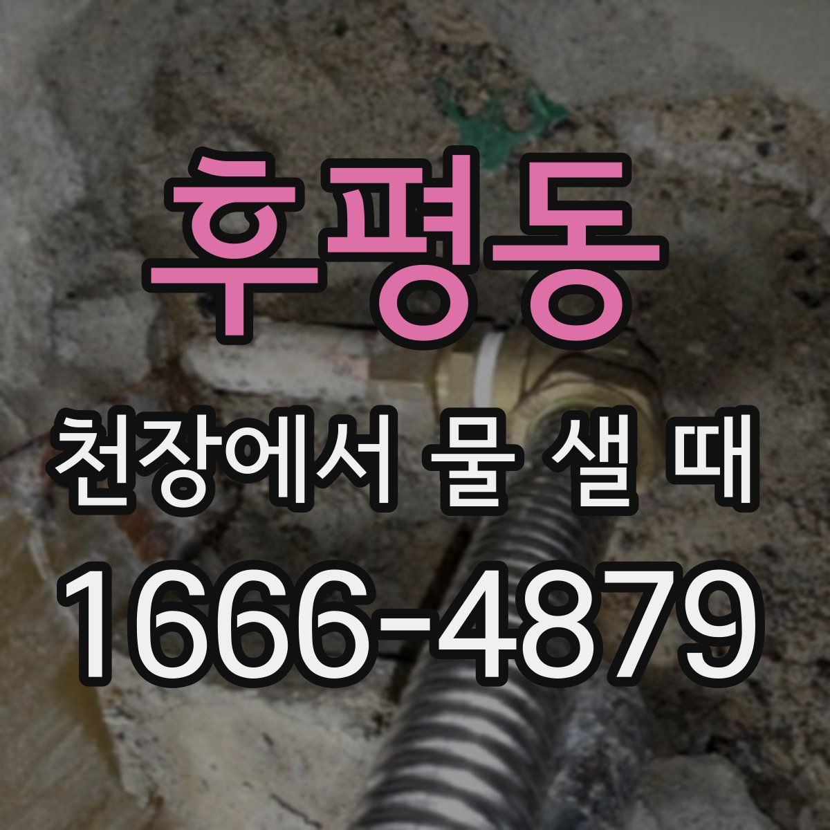 후평동 천장에서 물 샐 때
