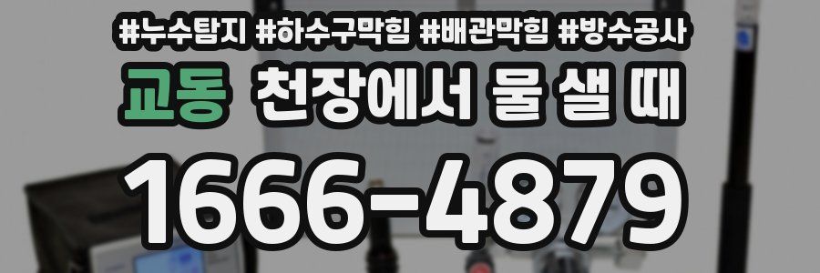 교동 천장에서 물 샐 때