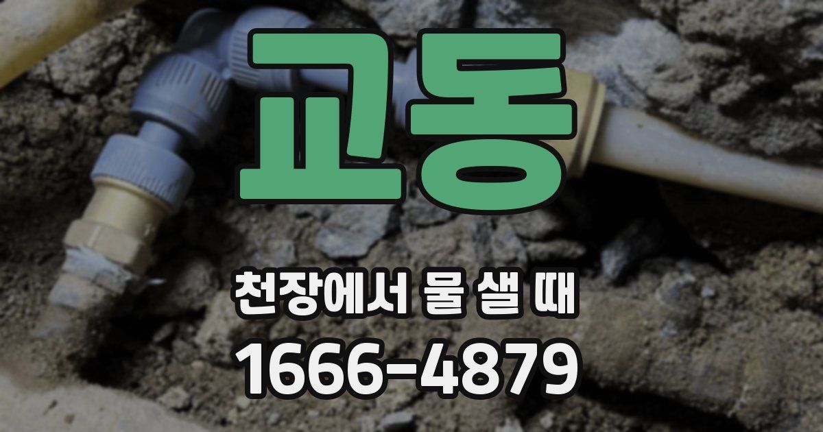 교동 천장에서 물 샐 때