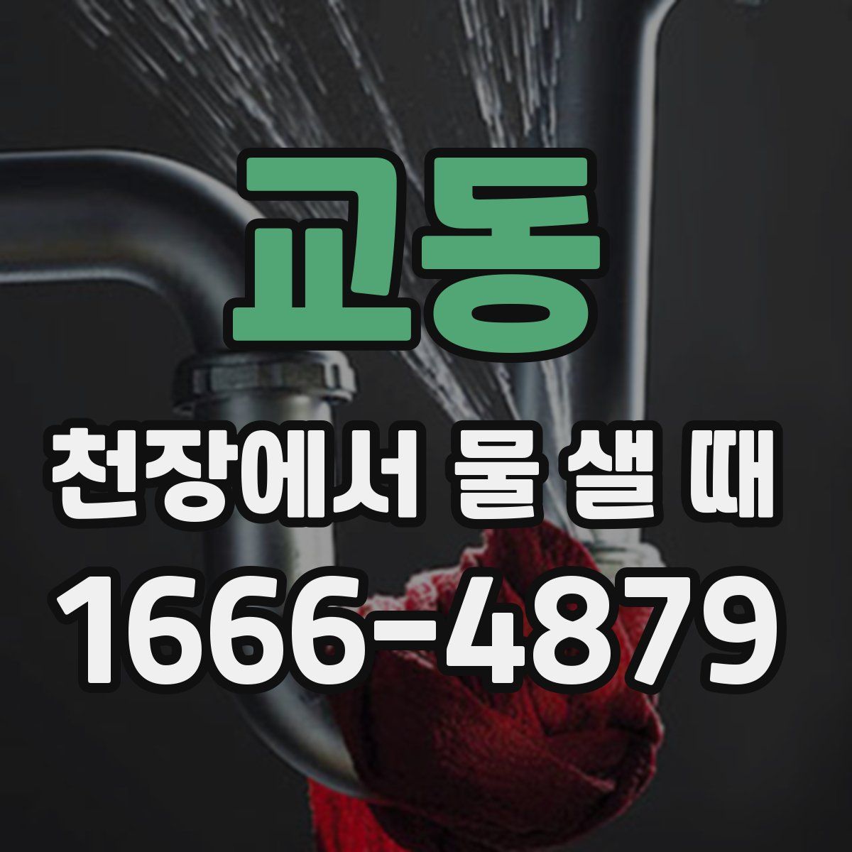 교동 천장에서 물 샐 때