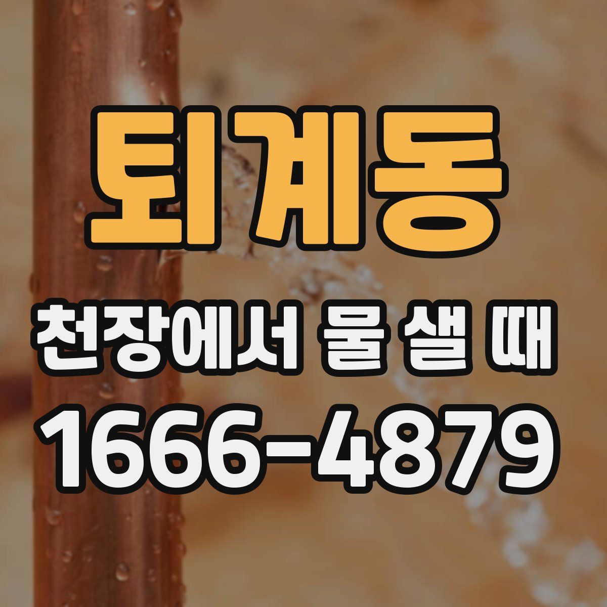퇴계동 천장에서 물 샐 때