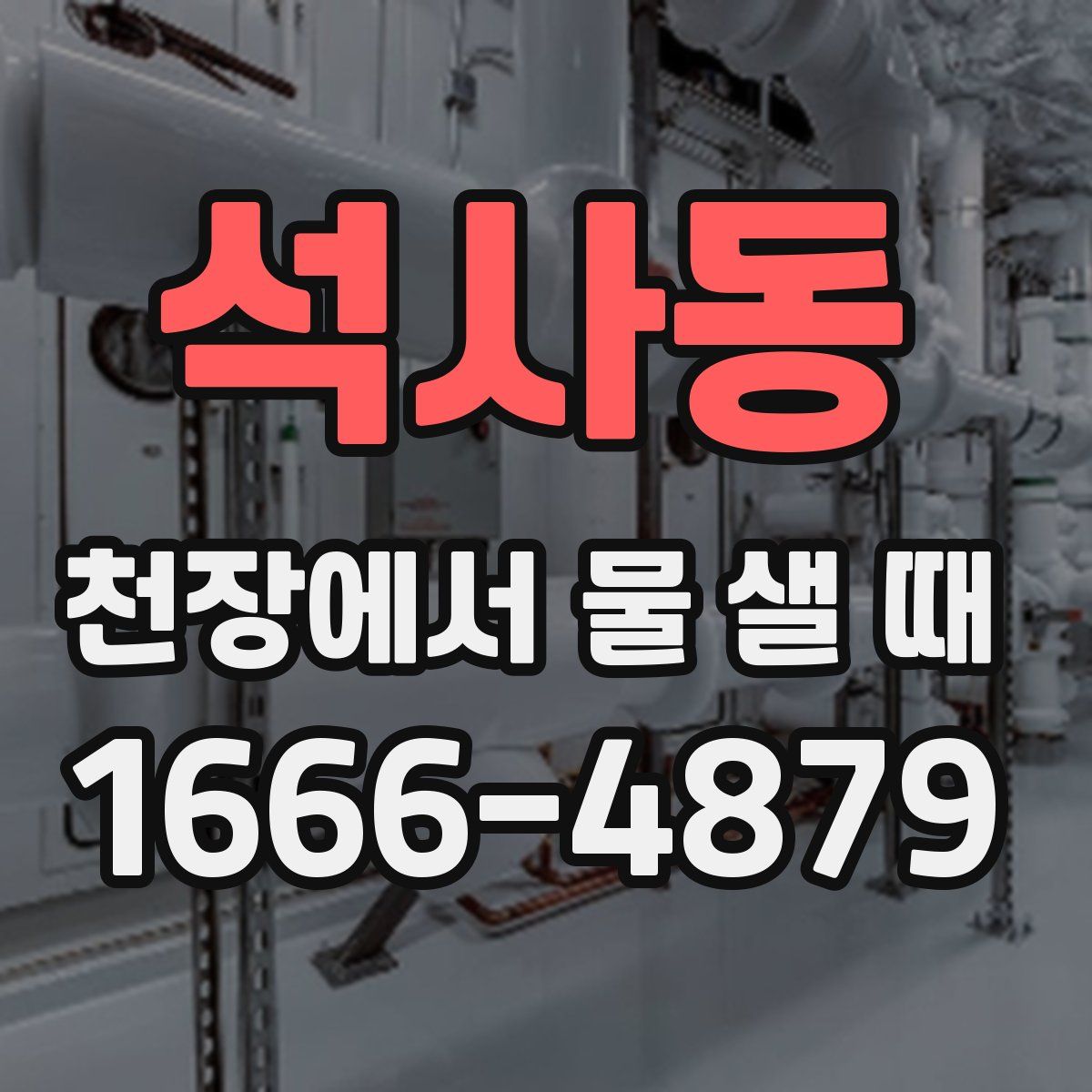 석사동 천장에서 물 샐 때