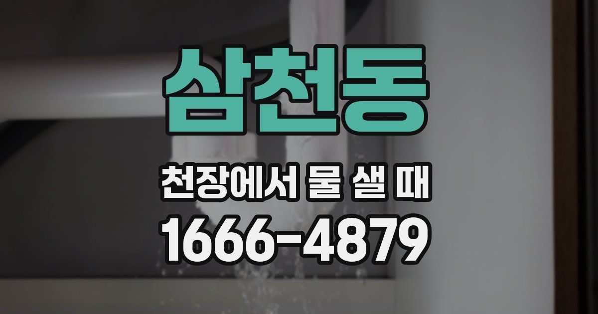 삼천동 천장에서 물 샐 때