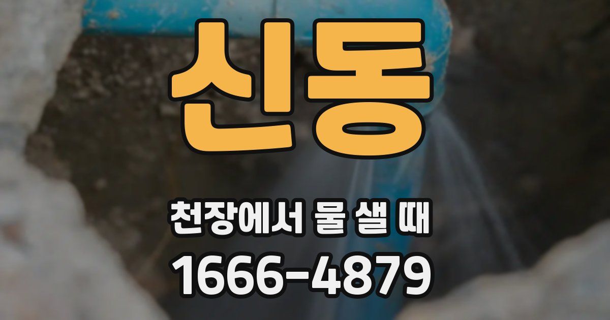 신동 천장에서 물 샐 때