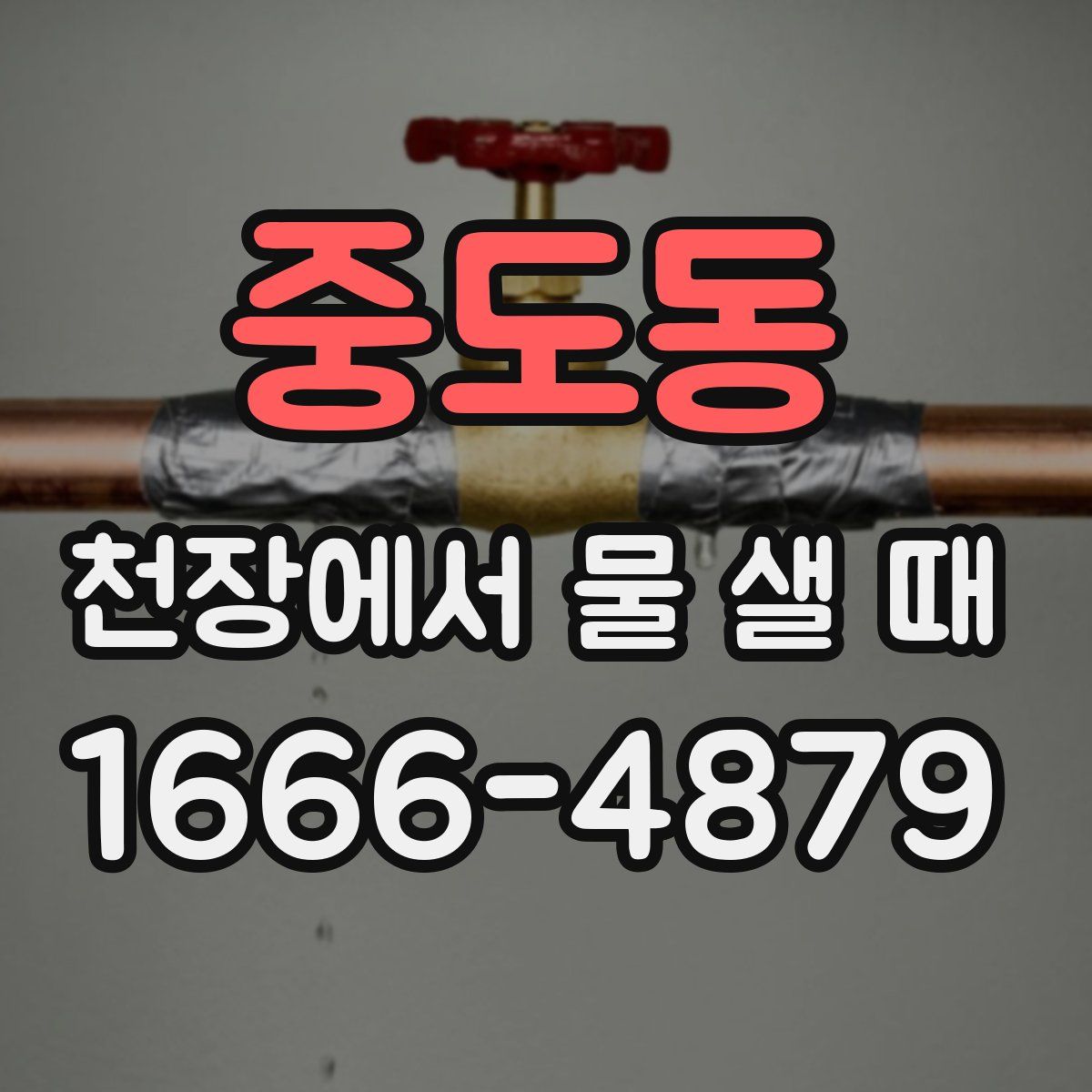 중도동 천장에서 물 샐 때