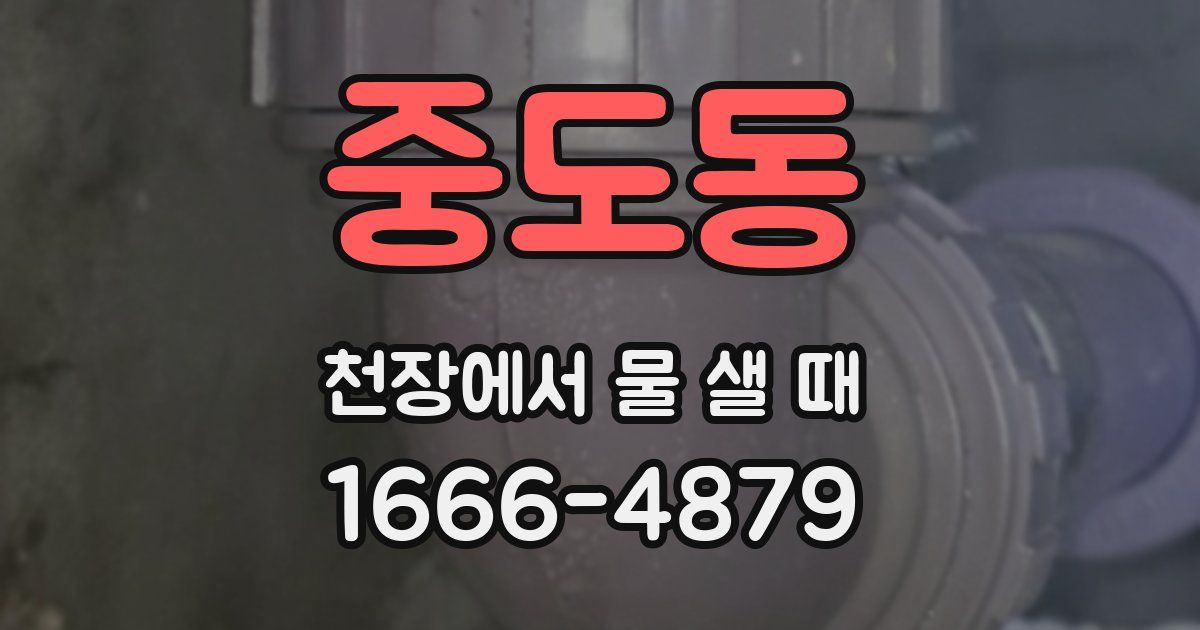 중도동 천장에서 물 샐 때