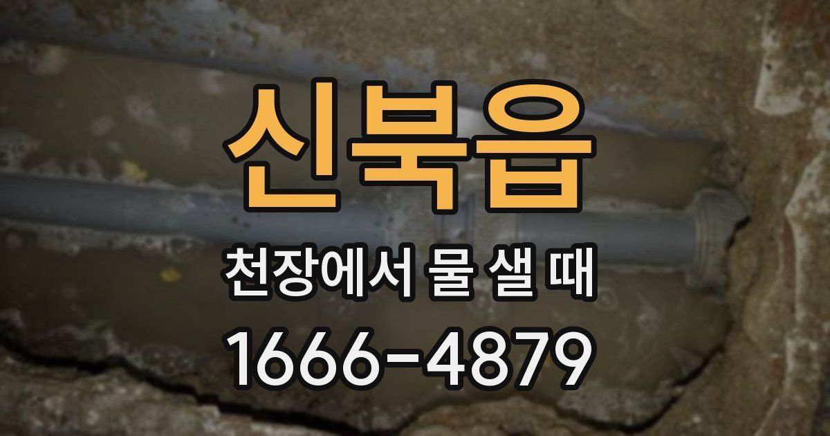신북읍 천장에서 물 샐 때