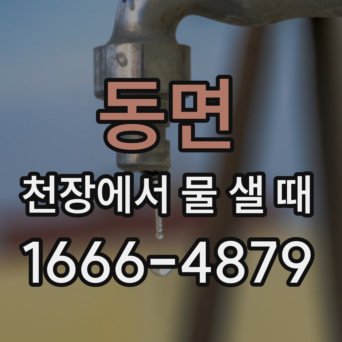 동면 천장에서 물 샐 때