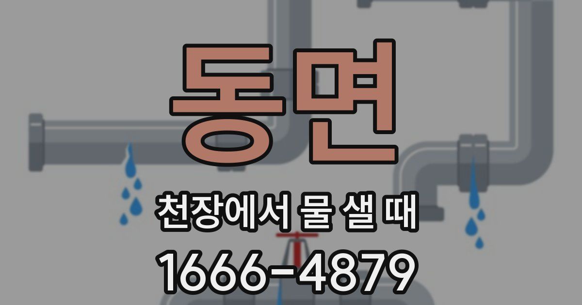 동면 천장에서 물 샐 때