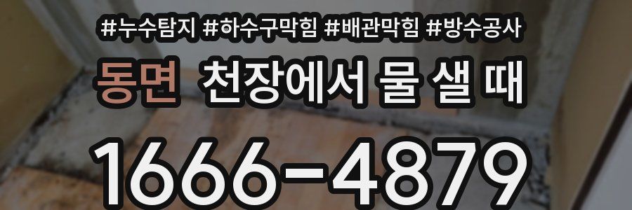 동면 천장에서 물 샐 때