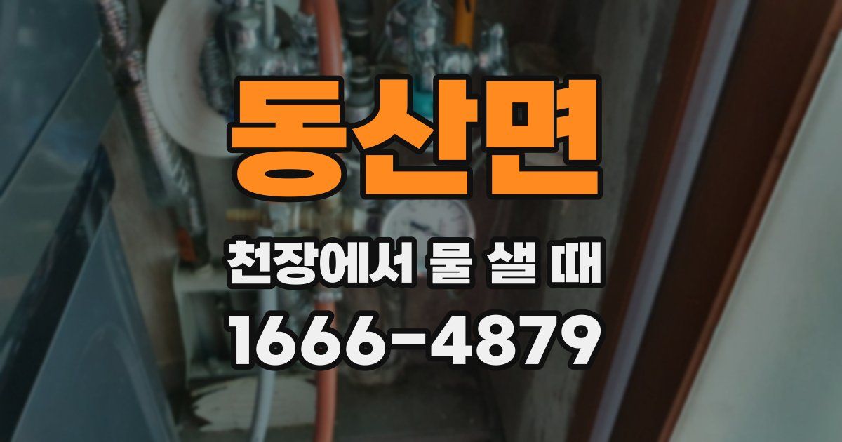 동산면 천장에서 물 샐 때