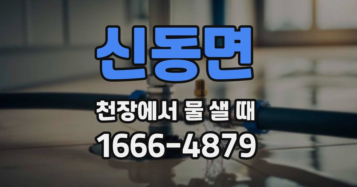 신동면 천장에서 물 샐 때