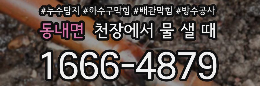 동내면 천장에서 물 샐 때