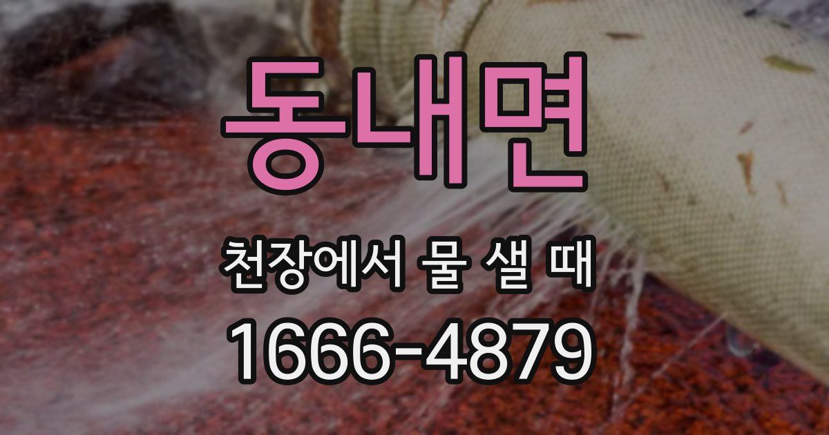 동내면 천장에서 물 샐 때