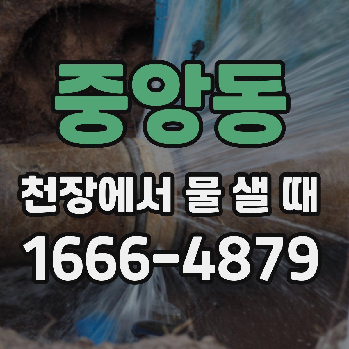 중앙동 천장에서 물 샐 때