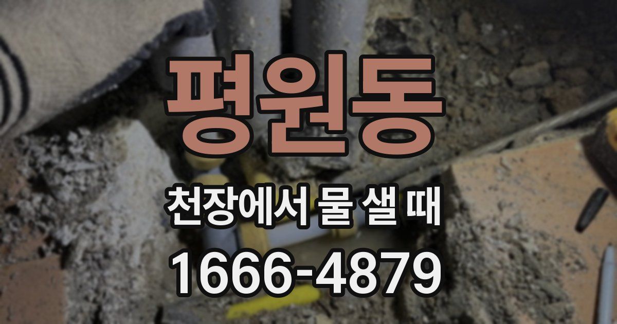 평원동 천장에서 물 샐 때