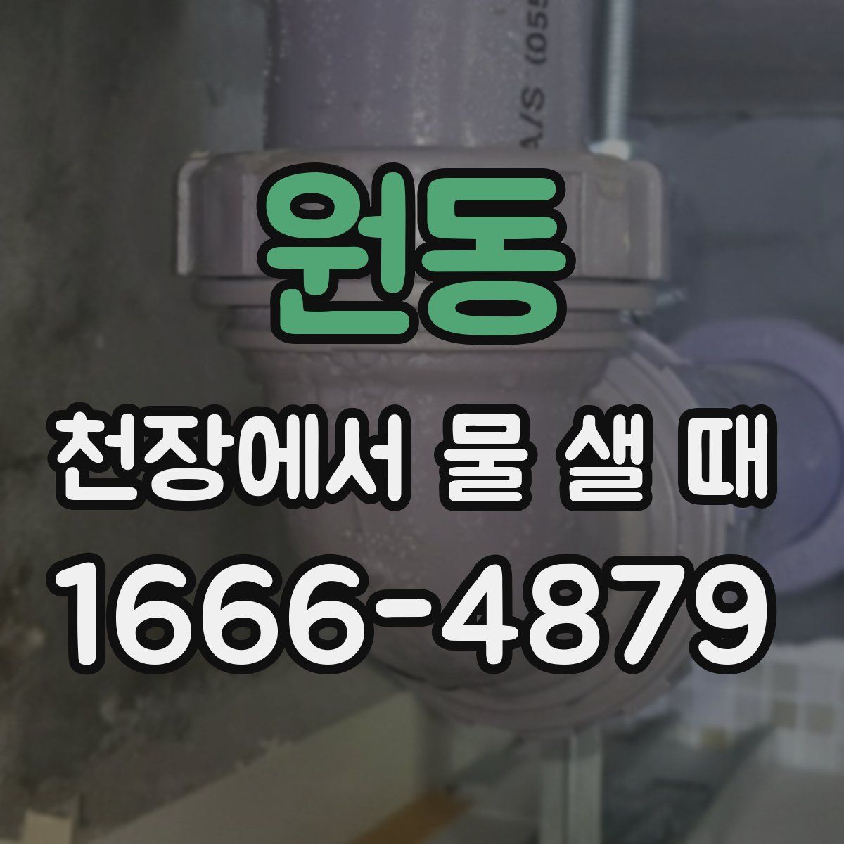 원동 천장에서 물 샐 때