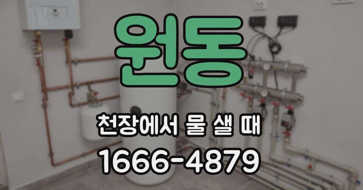 원동 천장에서 물 샐 때