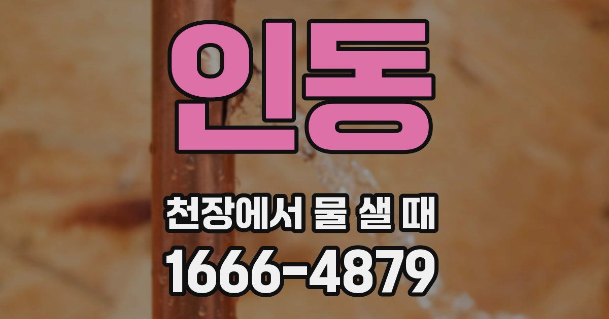인동 천장에서 물 샐 때