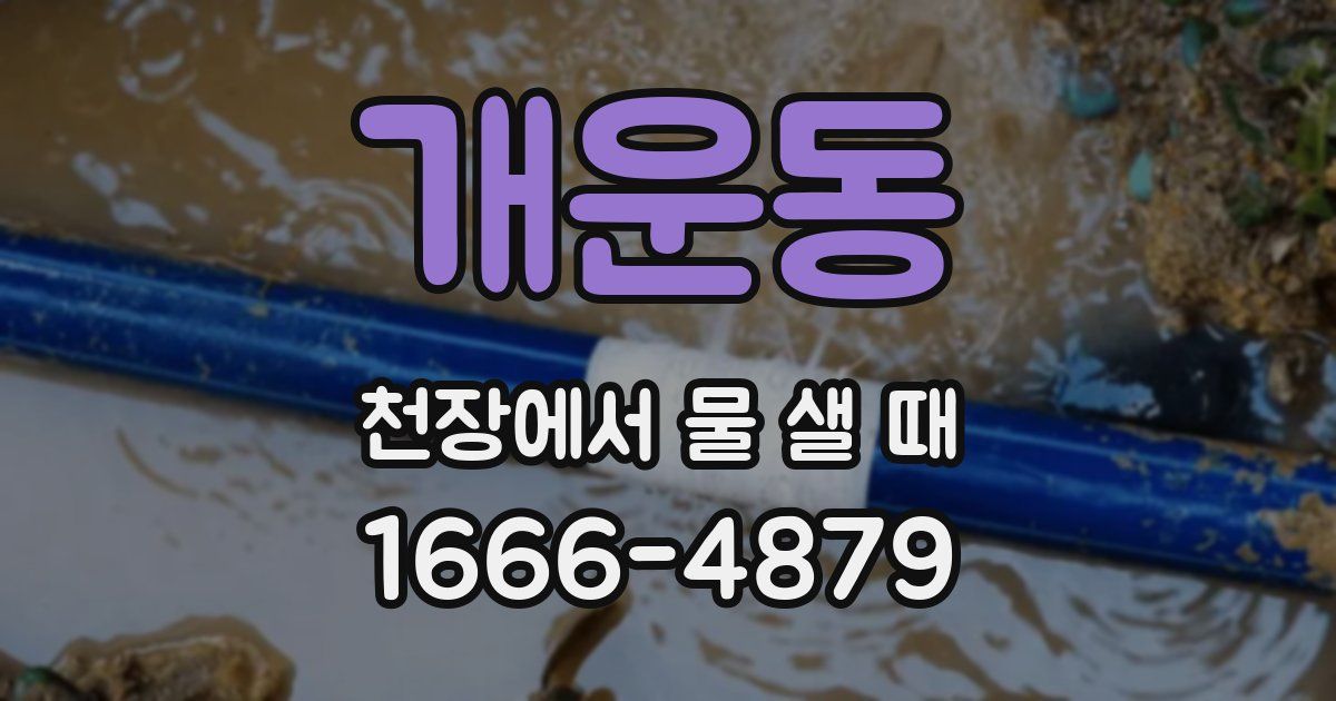 개운동 천장에서 물 샐 때