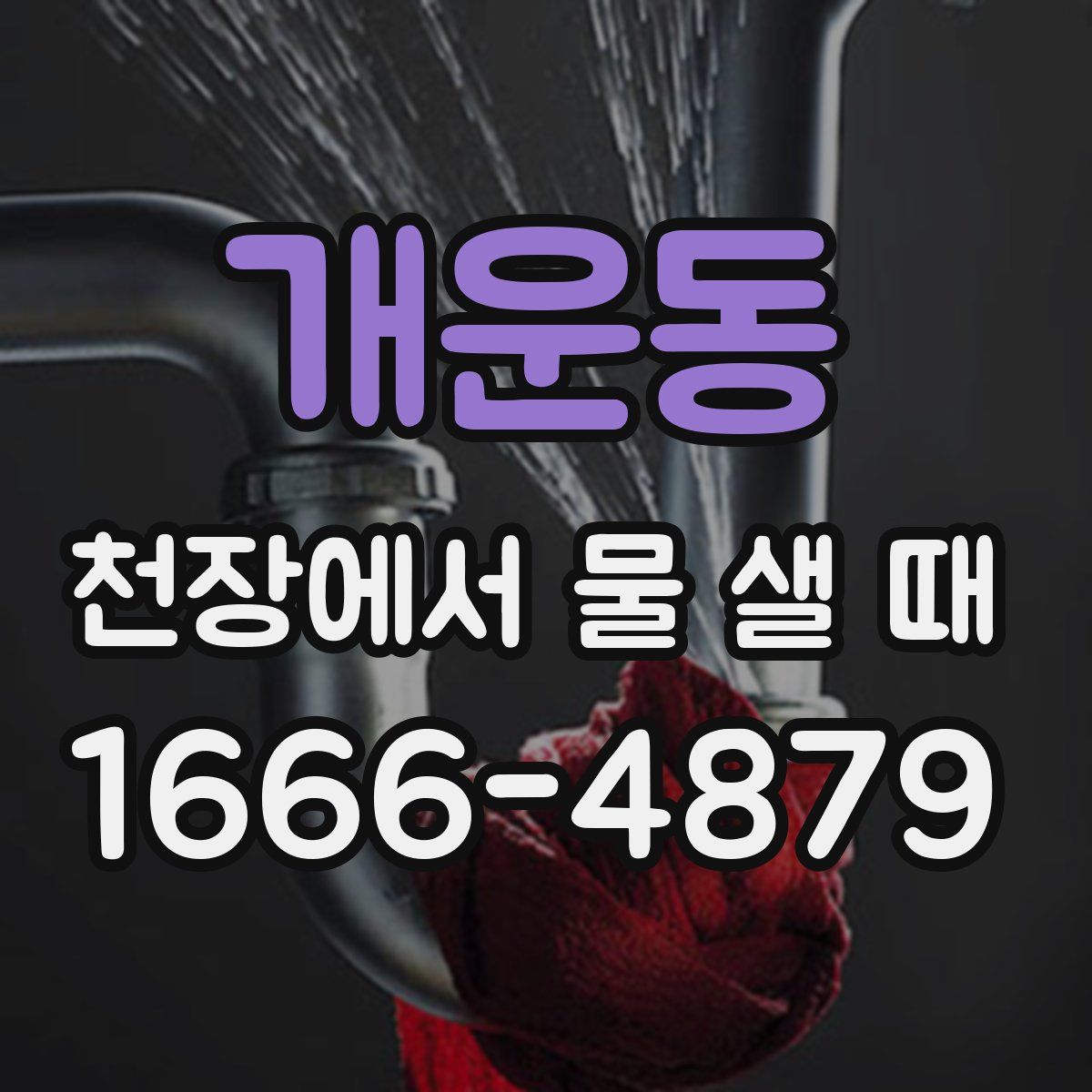 개운동 천장에서 물 샐 때