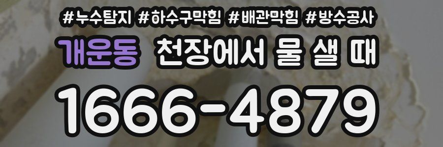 개운동 천장에서 물 샐 때